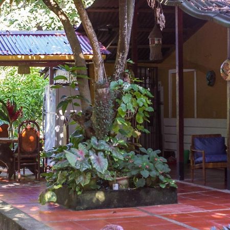 ホテルMi Refugio Tayrona サンタ・マルタ エクステリア 写真