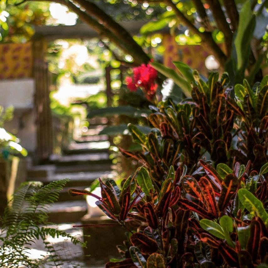 ホテルMi Refugio Tayrona サンタ・マルタ エクステリア 写真