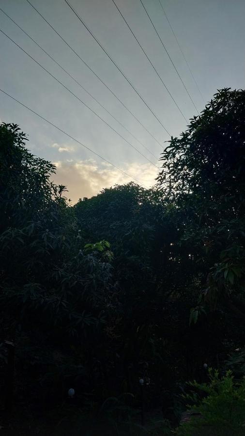 ホテルMi Refugio Tayrona サンタ・マルタ エクステリア 写真