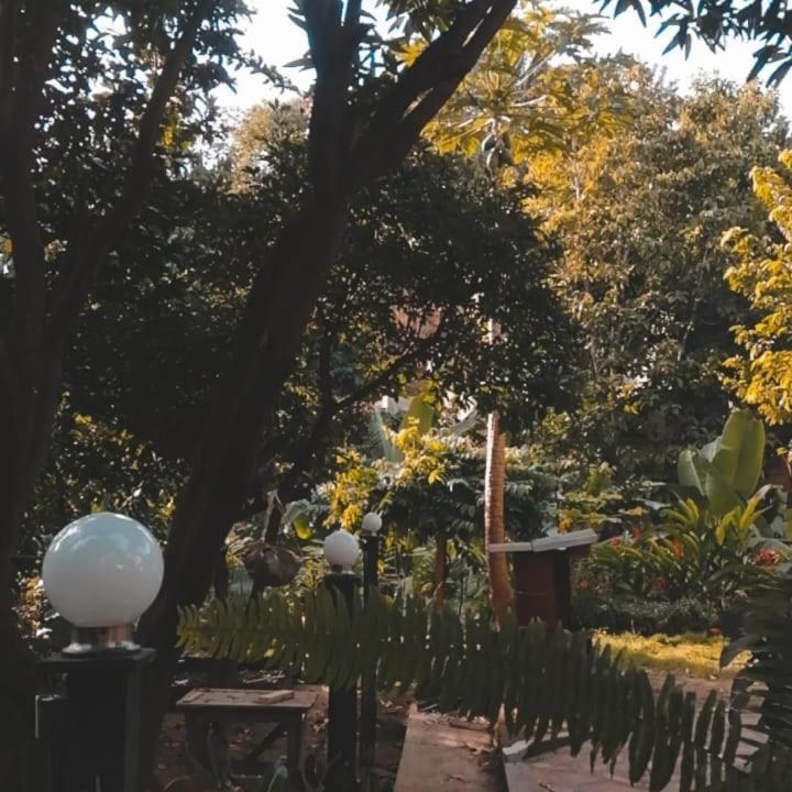 ホテルMi Refugio Tayrona サンタ・マルタ エクステリア 写真