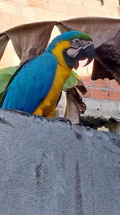 ホテルMi Refugio Tayrona サンタ・マルタ エクステリア 写真