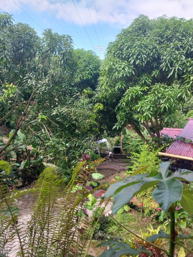 ホテルMi Refugio Tayrona サンタ・マルタ エクステリア 写真