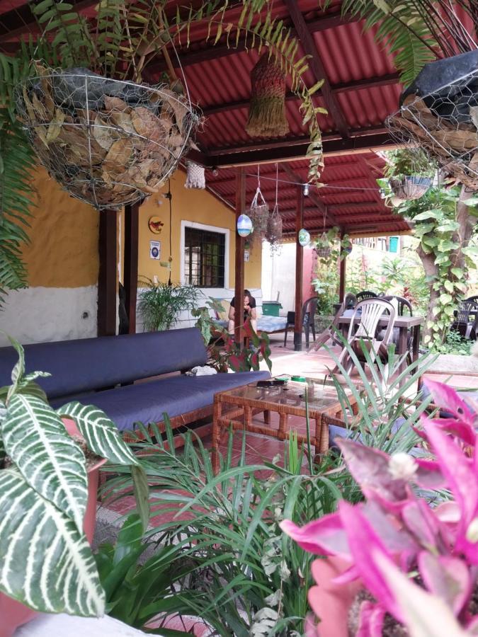 ホテルMi Refugio Tayrona サンタ・マルタ エクステリア 写真