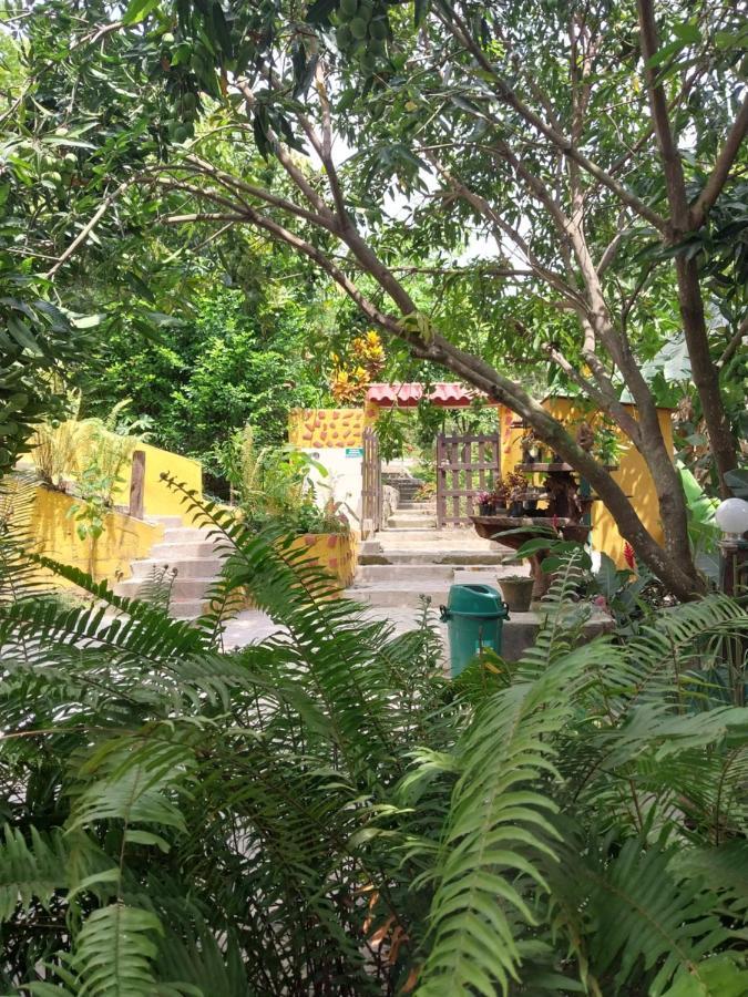 ホテルMi Refugio Tayrona サンタ・マルタ エクステリア 写真